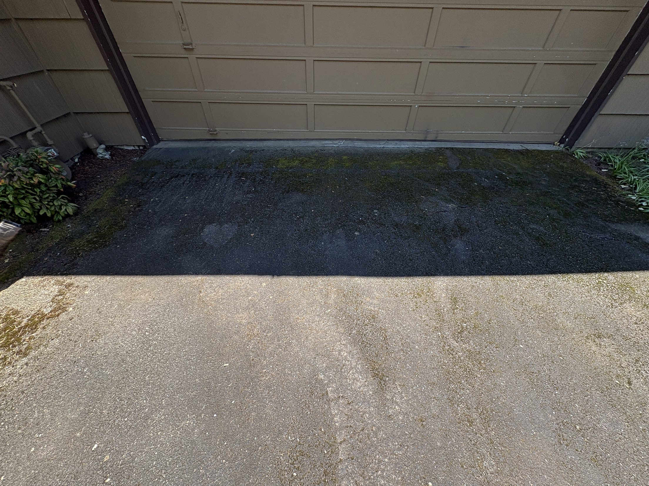 Garage apron before pressure washing — heavy moss